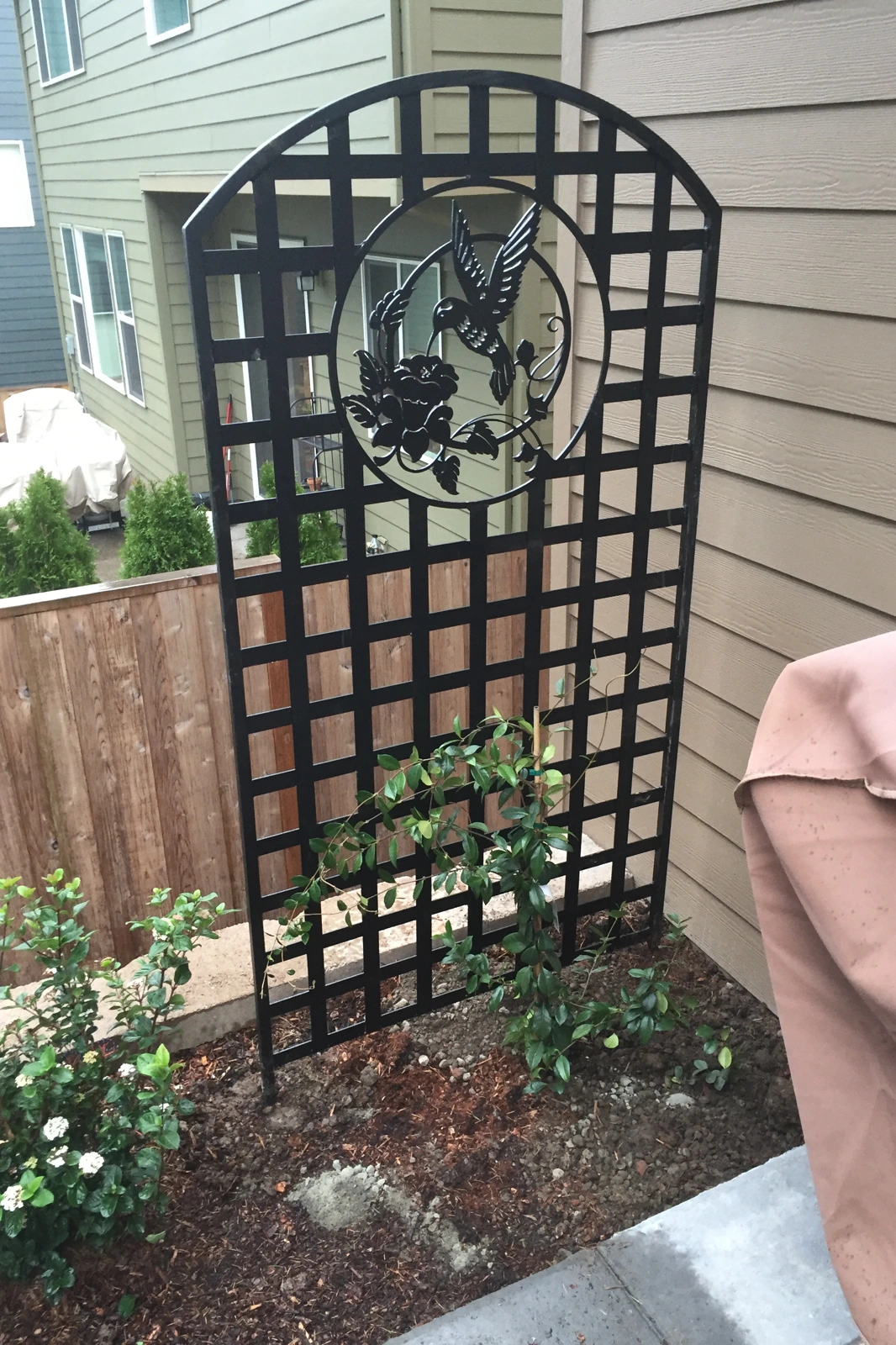 Custom-handcrafted black metal garden trellis with an arched top and a hummingbird feeding from a flower, supporting young green climbing vines.